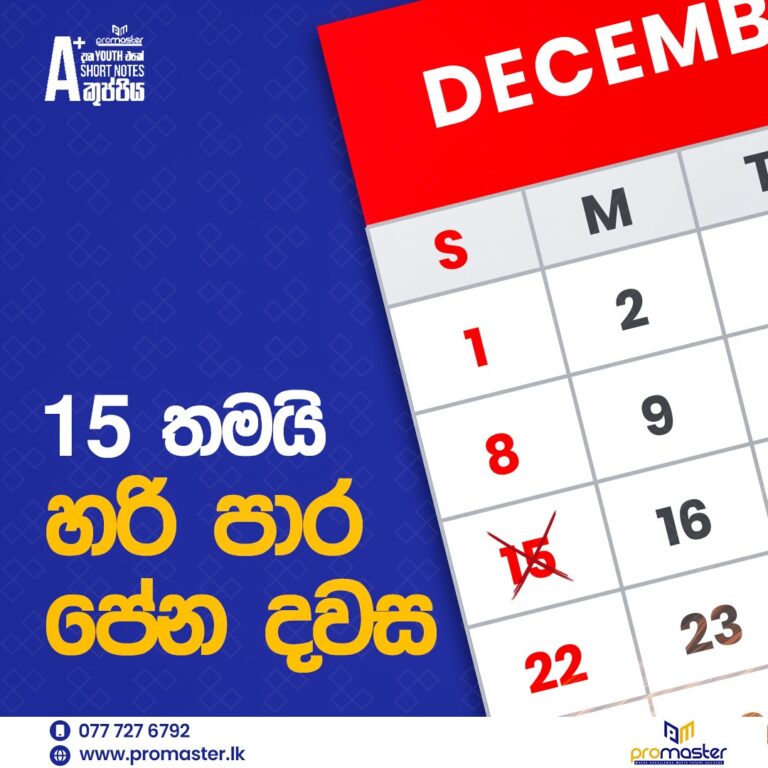 WhatsApp Image 2024-12-05 at 12.21