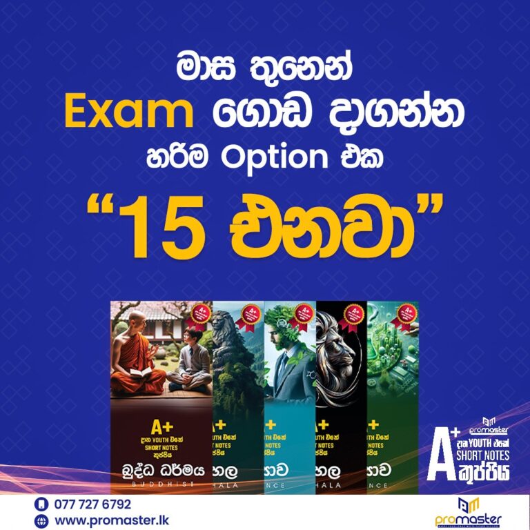 WhatsApp Image 2024-12-05 at 12.21